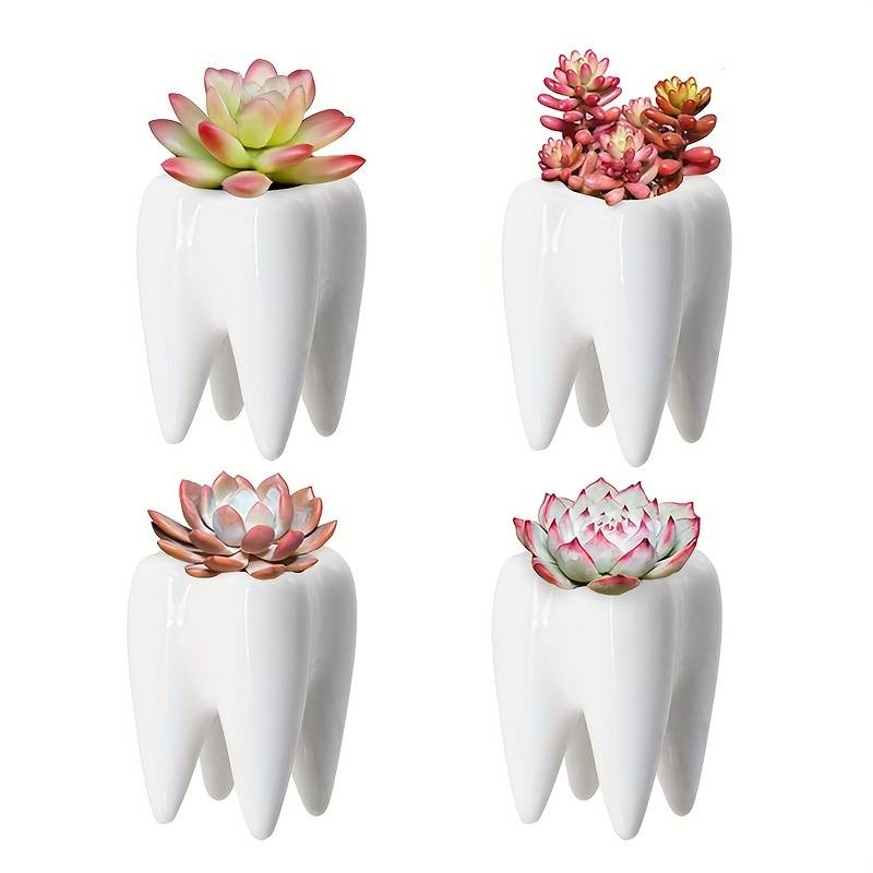 Jarrón dental de cerámica versátil